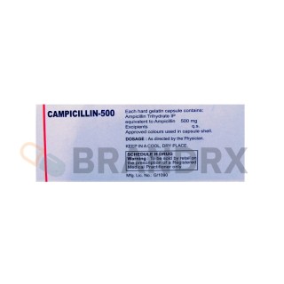 Campicillin 500 mg Cadila Pharmaceuticals Ltd.